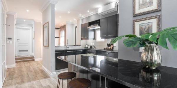 One Bedroom Penthouse with Rooftop,1235121275:JPEG